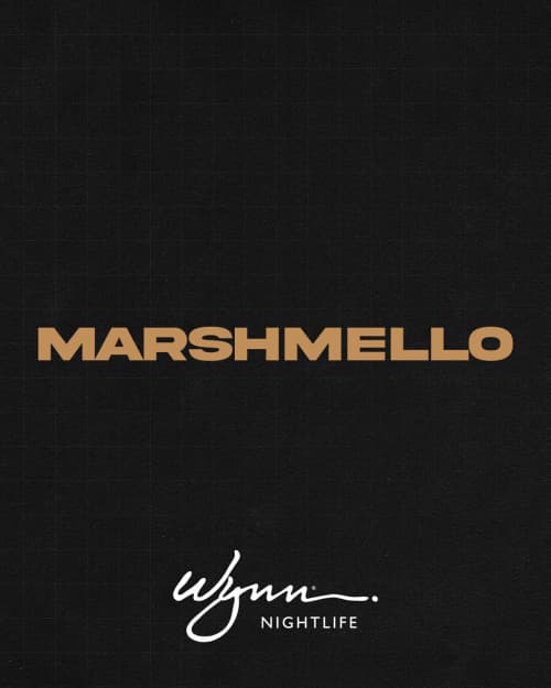 Marshmello at XS Nightclub on November 14, 2026