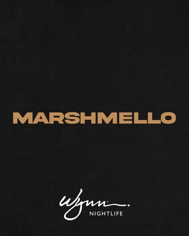 Marshmello at XS Nightclub on December 11, 2026